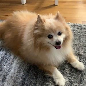 Meet your Posher, Michelle